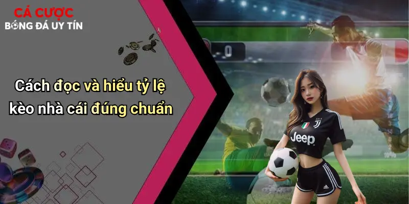 Cách đọc và hiểu tỷ lệ kèo nhà cái đúng chuẩn