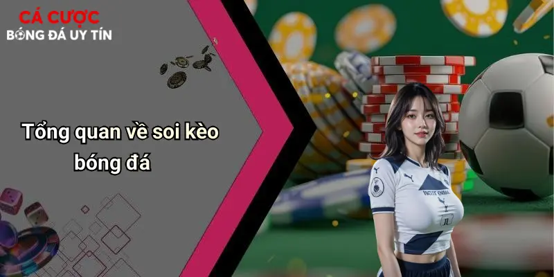 Tổng quan về soi kèo bóng đá