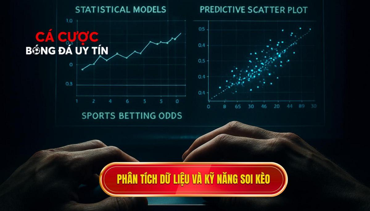 Phân tích dữ liệu trận đấu và kỹ năng soi kèo chuyên sâu