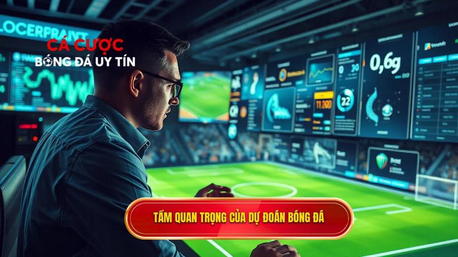 Tại sao dự đoán kèo bóng đá lại quan trọng?
